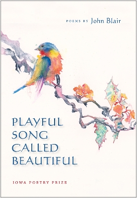 Book cover for Playful Song Called Beautiful