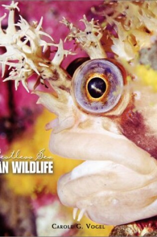 Cover of Ocean Wildlife