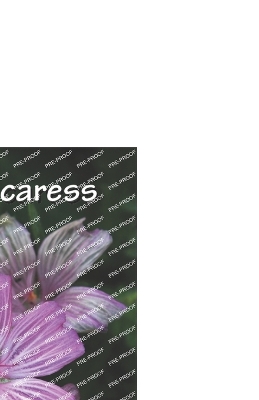 Book cover for as if a caress