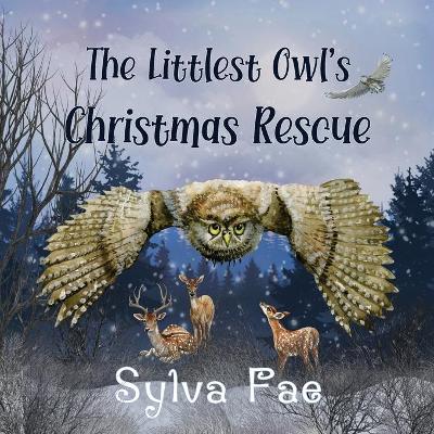 Book cover for The Littlest Owl's Christmas Rescue