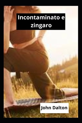 Book cover for Incontaminato e zingaro