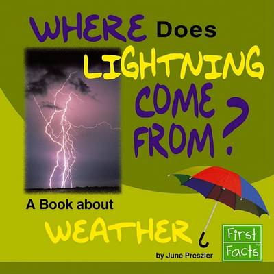 Book cover for Where Does Lightning Come From?