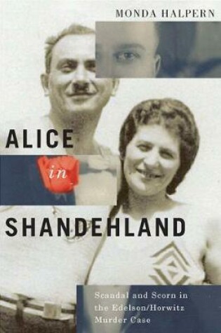 Cover of Alice in Shandehland