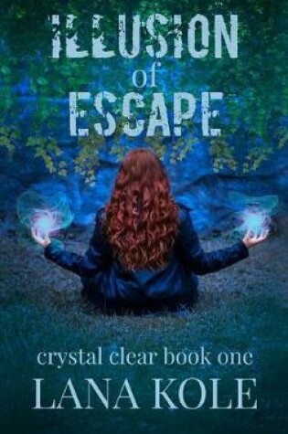 Cover of Illusion of Escape