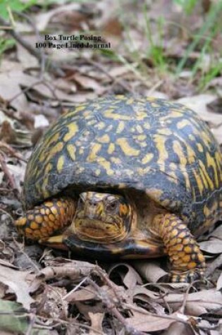 Cover of Box Turtle Posing 100 Page Lined Journal