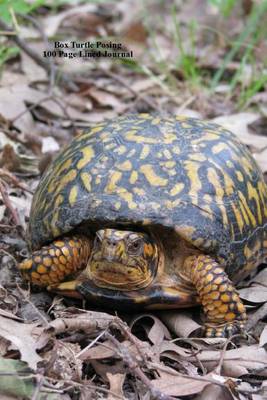 Book cover for Box Turtle Posing 100 Page Lined Journal