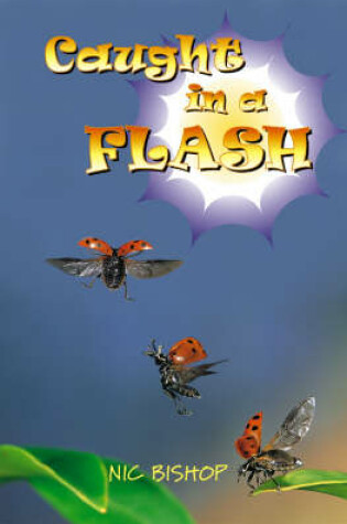 Cover of Caught in a Flash