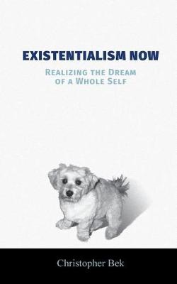 Cover of Existentialism Now