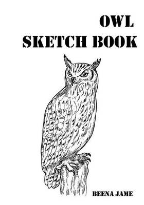 Book cover for Owl Sketch Book