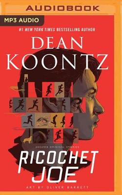 Book cover for Ricochet Joe