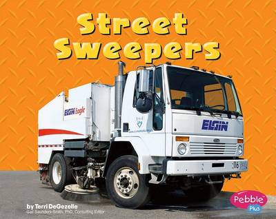 Book cover for Street Sweepers