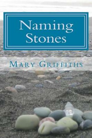 Cover of Naming Stones