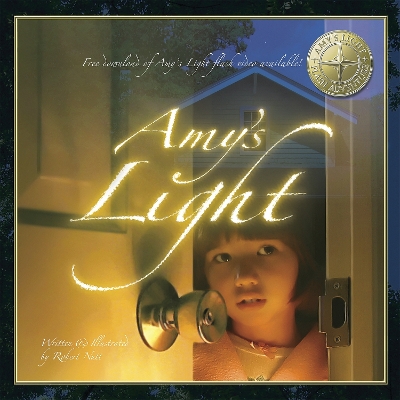 Book cover for Amy'S Light