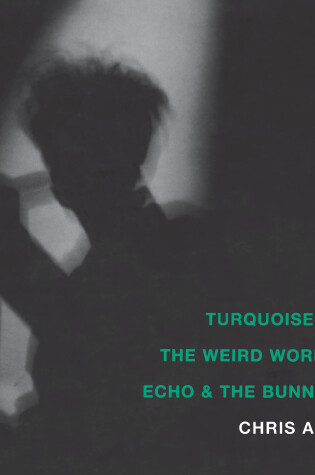 Cover of Turquoise Days