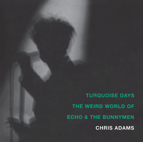 Book cover for Turquoise Days