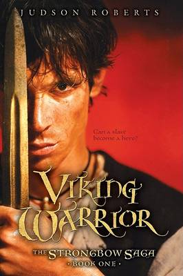 Book cover for The Viking Warrior