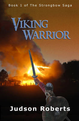 Book cover for Viking Warrior