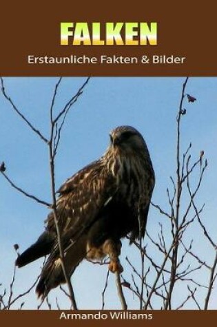 Cover of Falken