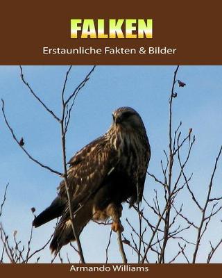 Book cover for Falken