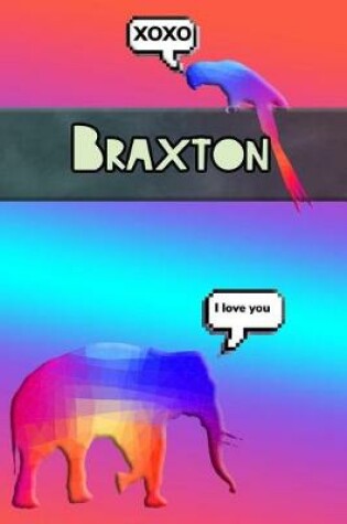 Cover of Colorful Jungle Braxton