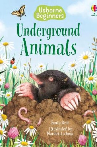 Cover of Underground Animals