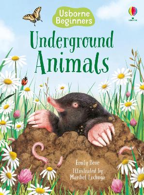 Book cover for Underground Animals