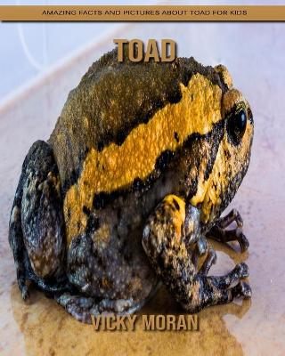 Book cover for Toad