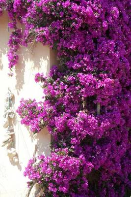 Book cover for Bougainvillea Flower Journal