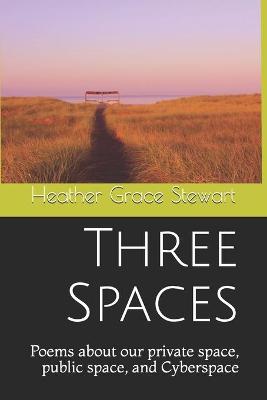 Cover of Three Spaces