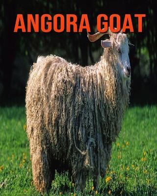 Book cover for Angora Goat