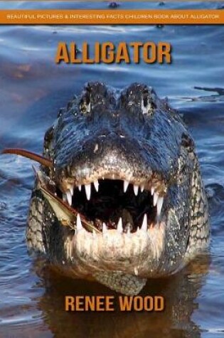 Cover of Alligator