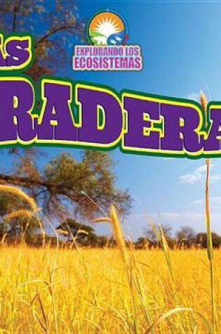 Cover of Las Praderas