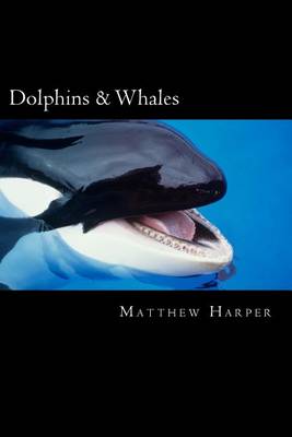 Book cover for Dolphins & Whales