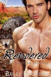 Book cover for Rendered