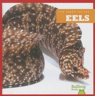 Cover of Eels