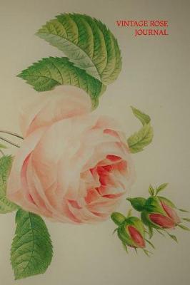 Book cover for Vintage Rose Journal