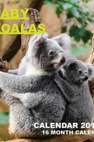 Cover of Baby Koalas Calendar 2017
