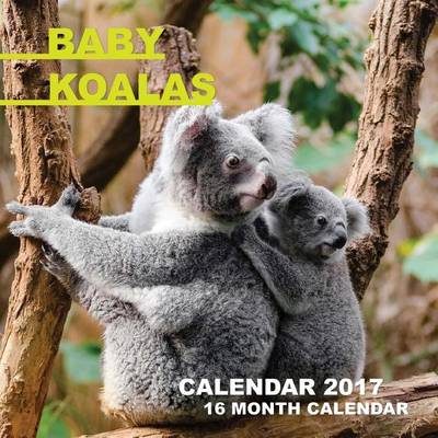 Book cover for Baby Koalas Calendar 2017