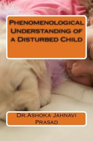 Cover of Phenomenological Understanding of a Disturbed Child