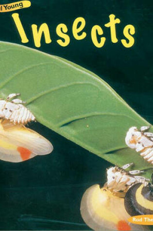 Cover of Insects