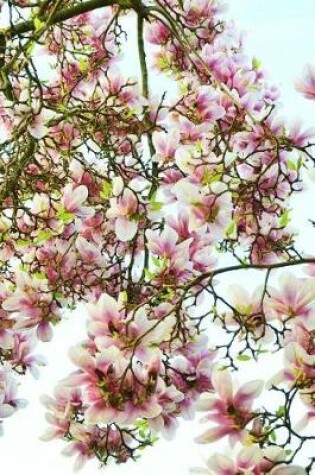 Cover of Magnolia Tree in Spring with Pink and White Flowers Journal