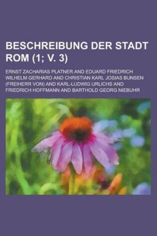 Cover of Beschreibung Der Stadt ROM (1; V. 3)