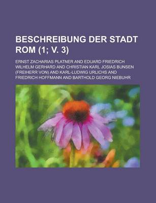 Book cover for Beschreibung Der Stadt ROM (1; V. 3)