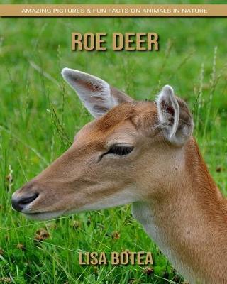 Book cover for Roe Deer