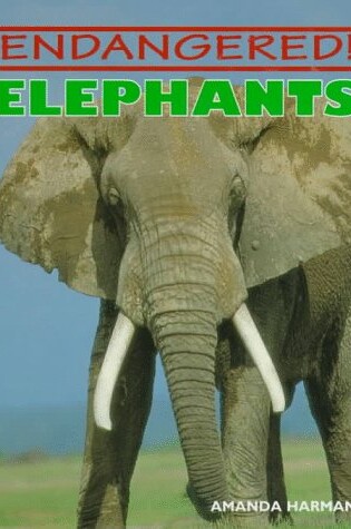 Cover of Elephants