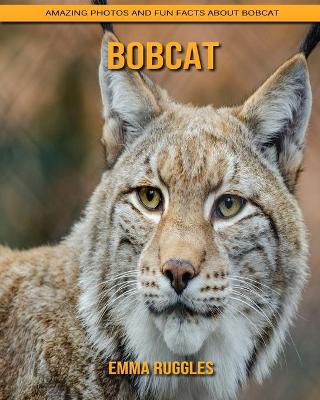 Book cover for Bobcat