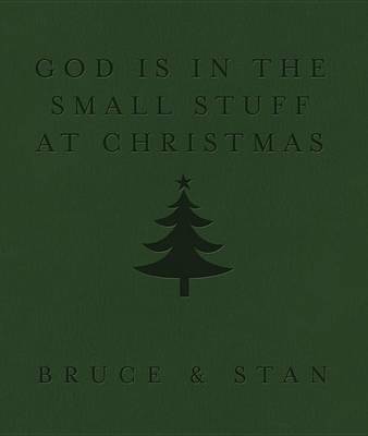 Book cover for God Is in the Small Stuff at Christmas