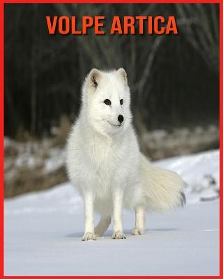 Book cover for Volpe Artica