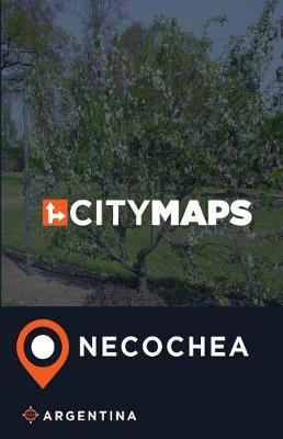 Book cover for City Maps Necochea Argentina