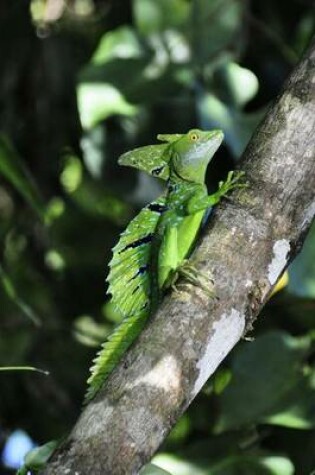 Cover of Basilisk Lizard on a Tree Journal